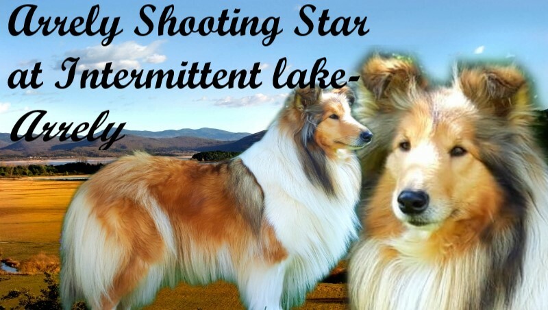 ARRELY SHOTING STAR AT INTERMITTENT LAKE- Arrely