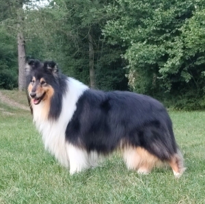 Jack Daniels at Intermittent Lake