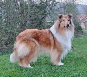 Lyric Song at Intermittent Lake