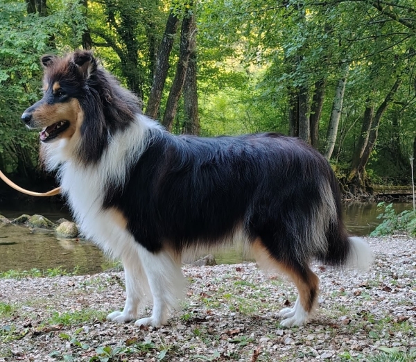 Rachell at Intermittent Lake