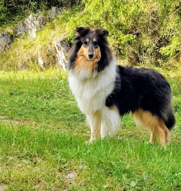 Spring Shadow at Intermittent Lake